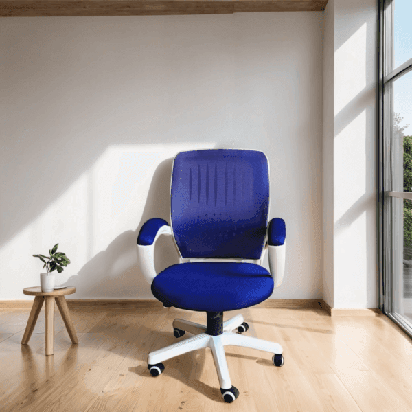 Blue Mesh middle chair