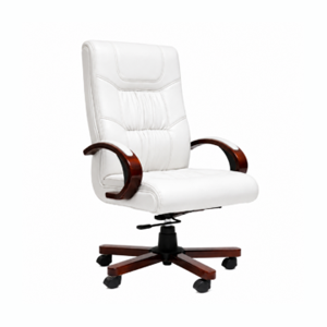 Director Executive Chair