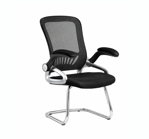 Conference Chair