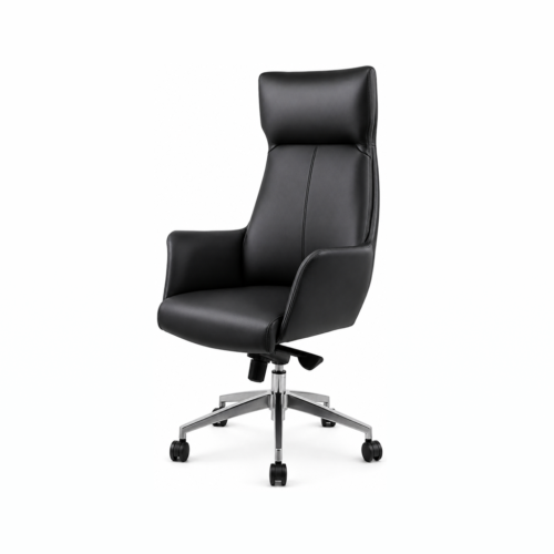 Full Lumbar Support Chair
