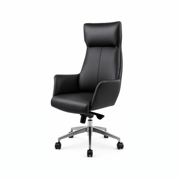 Full Lumbar Support Chair Full Lumbar Support Chair