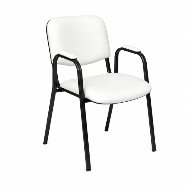 [ IT-2 ] Leatherette Chair