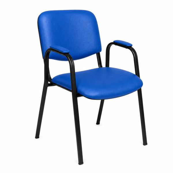 [ IT-2 ] Leatherette Chair