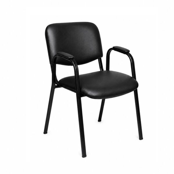 [ IT-2 ] Leatherette Chair