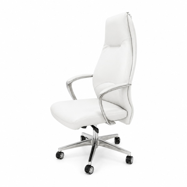 [MC-1700] Sleek Ergonomic Executive Chair
