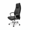 Sleek Ergonomic Executive Chair