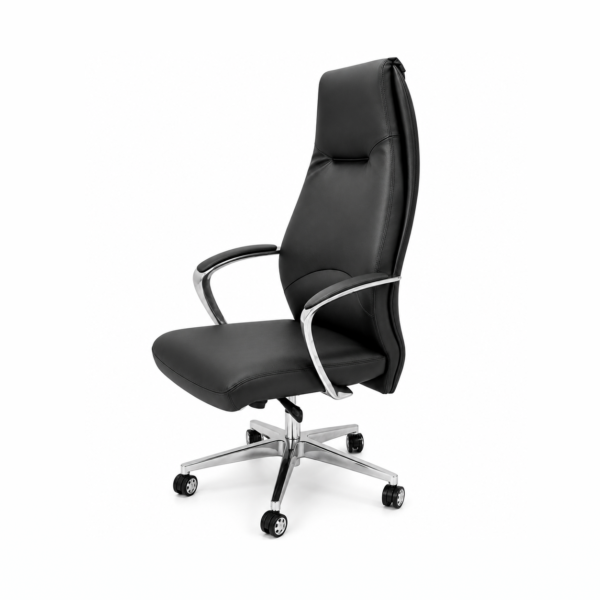 Sleek Ergonomic Executive Chair