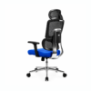 [GL 137] Split Backrest Ergonomic Chair