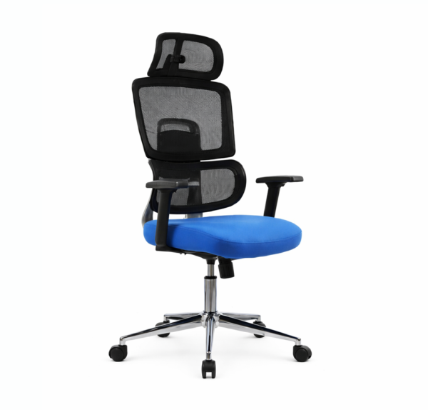 Split Backrest Ergonomic Chair Split Backrest Ergonomic Chair