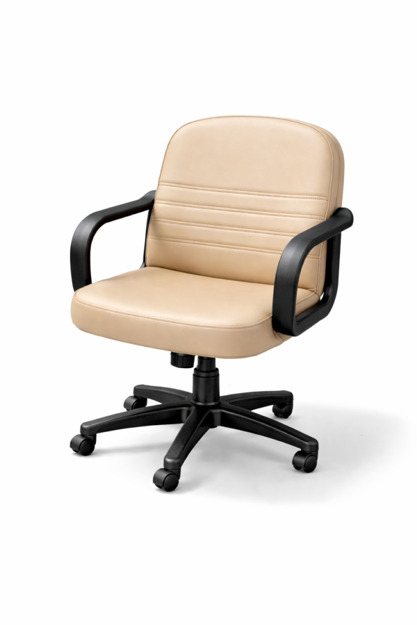 [Windy] Leatherette Office Chair